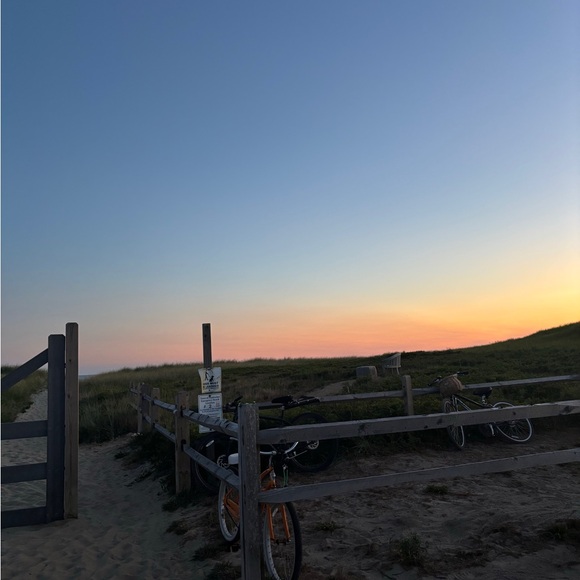 Meet your Posher, Bridget - Picture 1 of 1